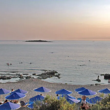 Fotis スカフィディア