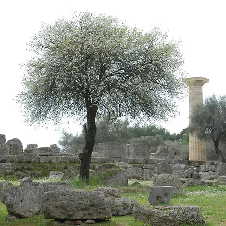 Fotis